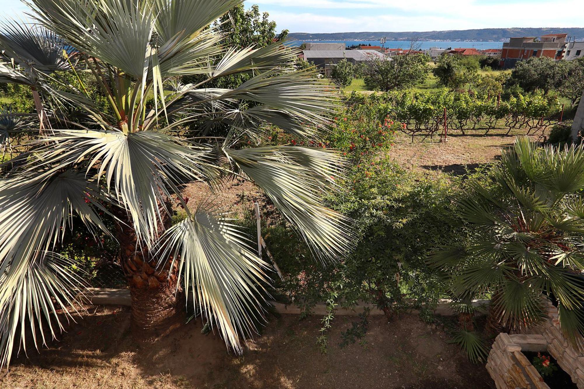 Mediterrianen Paradise Lägenhet Kaštela Exteriör bild